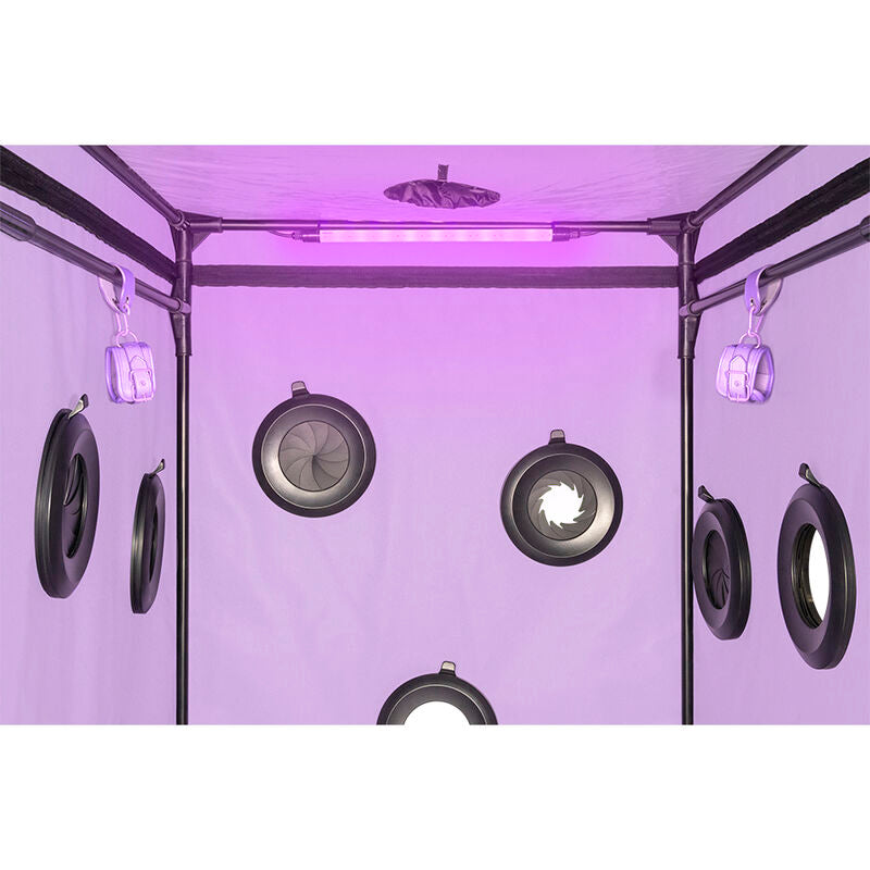 SECRET DOME - KINK CLUB CABIN SCANDALE LILA