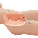 CRAZY BULL - TIFFANY REALISTISCHER WEIBLICHER TORSO VAGINA UND ANAL 5,5 KG