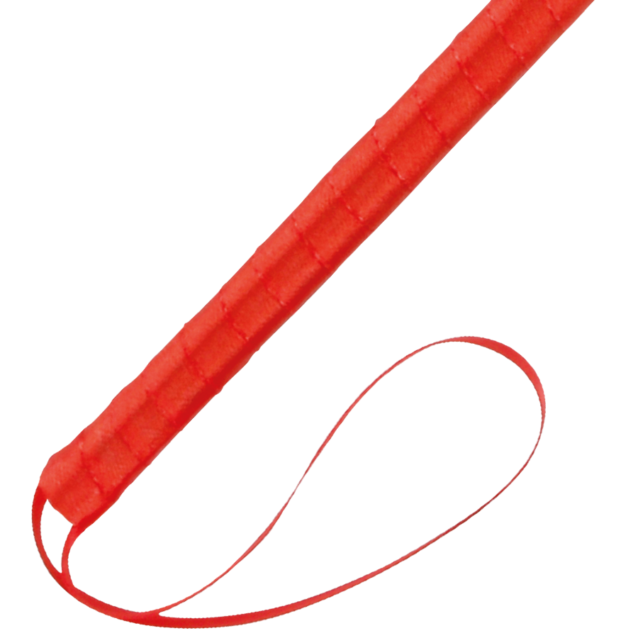 DARKNESS Roter stimulierender Stift 24 cm