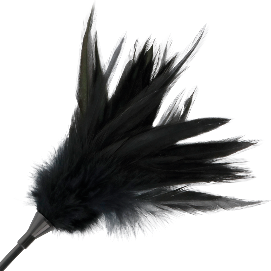 DARKNESS – Schwarze Feder und Gerte