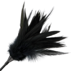 DARKNESS – Schwarze Feder und Gerte