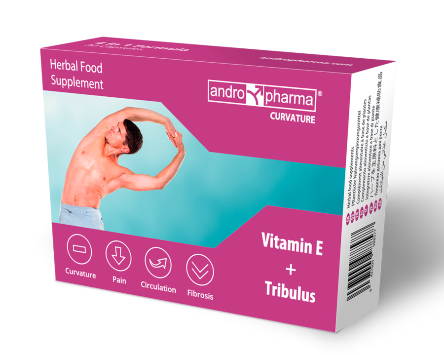 ANDROPHARMA - Curvature Produkt zur Anwendung bei Penisverkrümmung