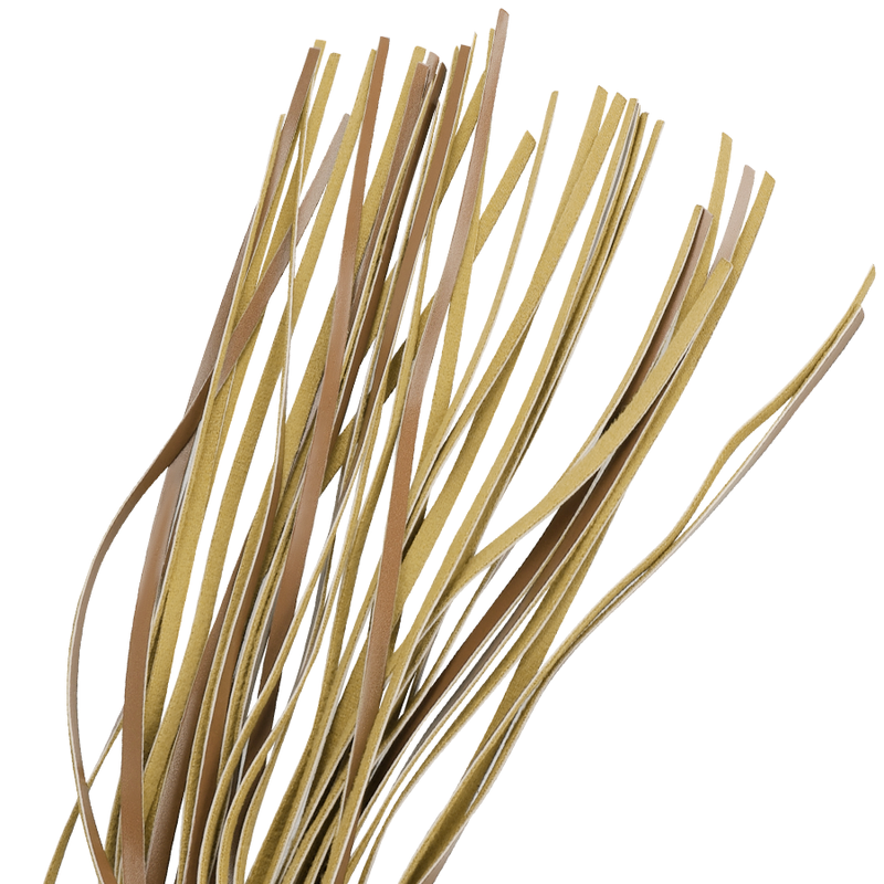 FETISH SUBMISSIVE – Peitsche aus Kunstleder